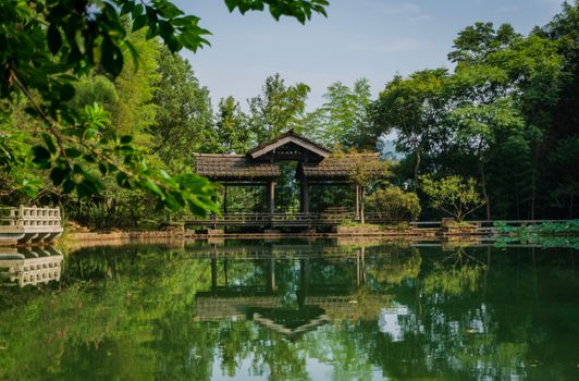 View of a Pond in a Park