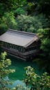 Building on Water in Forest