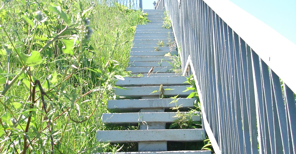 Free stock photo of лестница