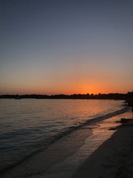 Rippling sea washing coast in coastal terrain with tall trees in distance against cloudless sky at sundown sky in nature