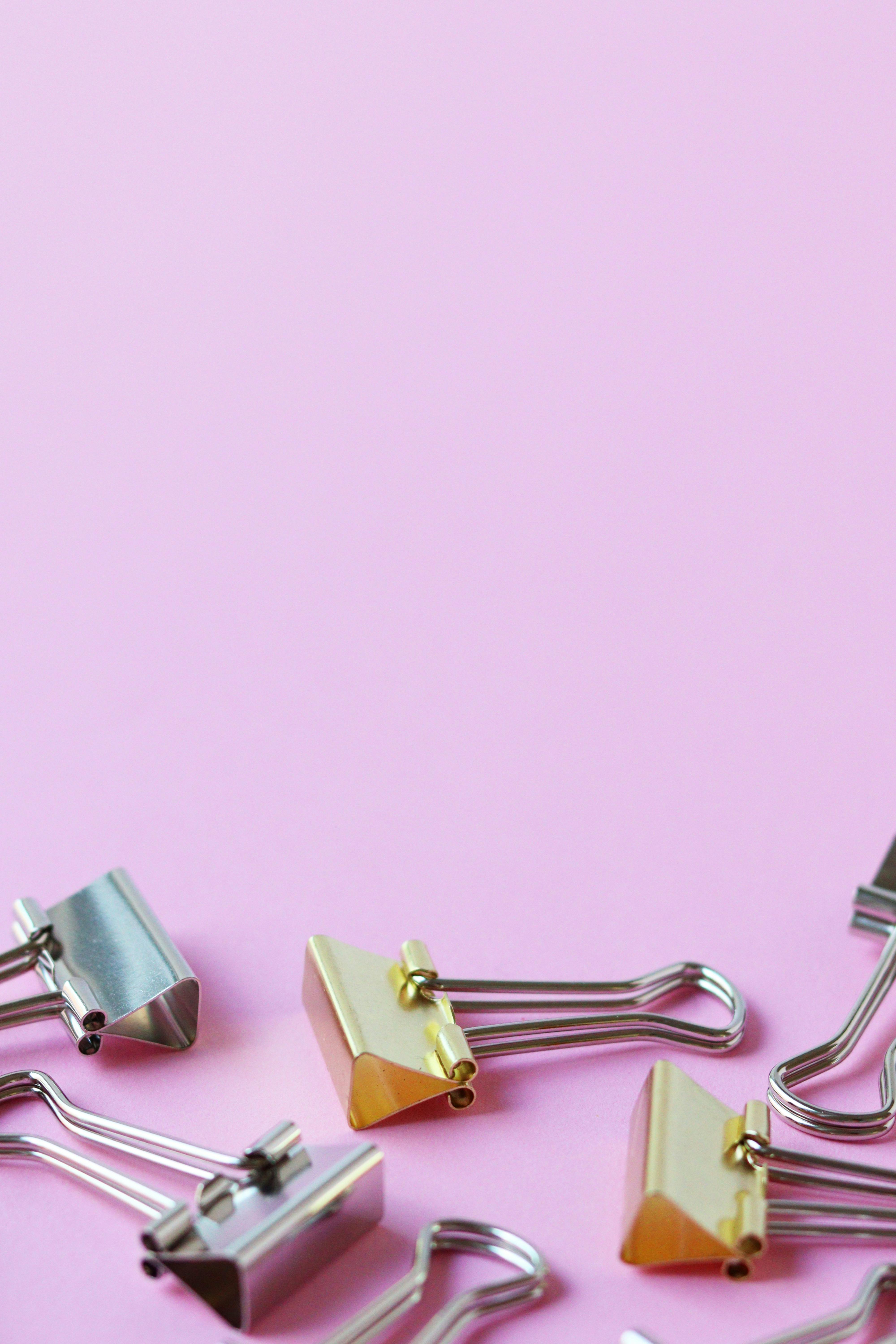 White Feathers on White Background · Free Stock Photo