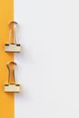 Gold and Silver Door Lever