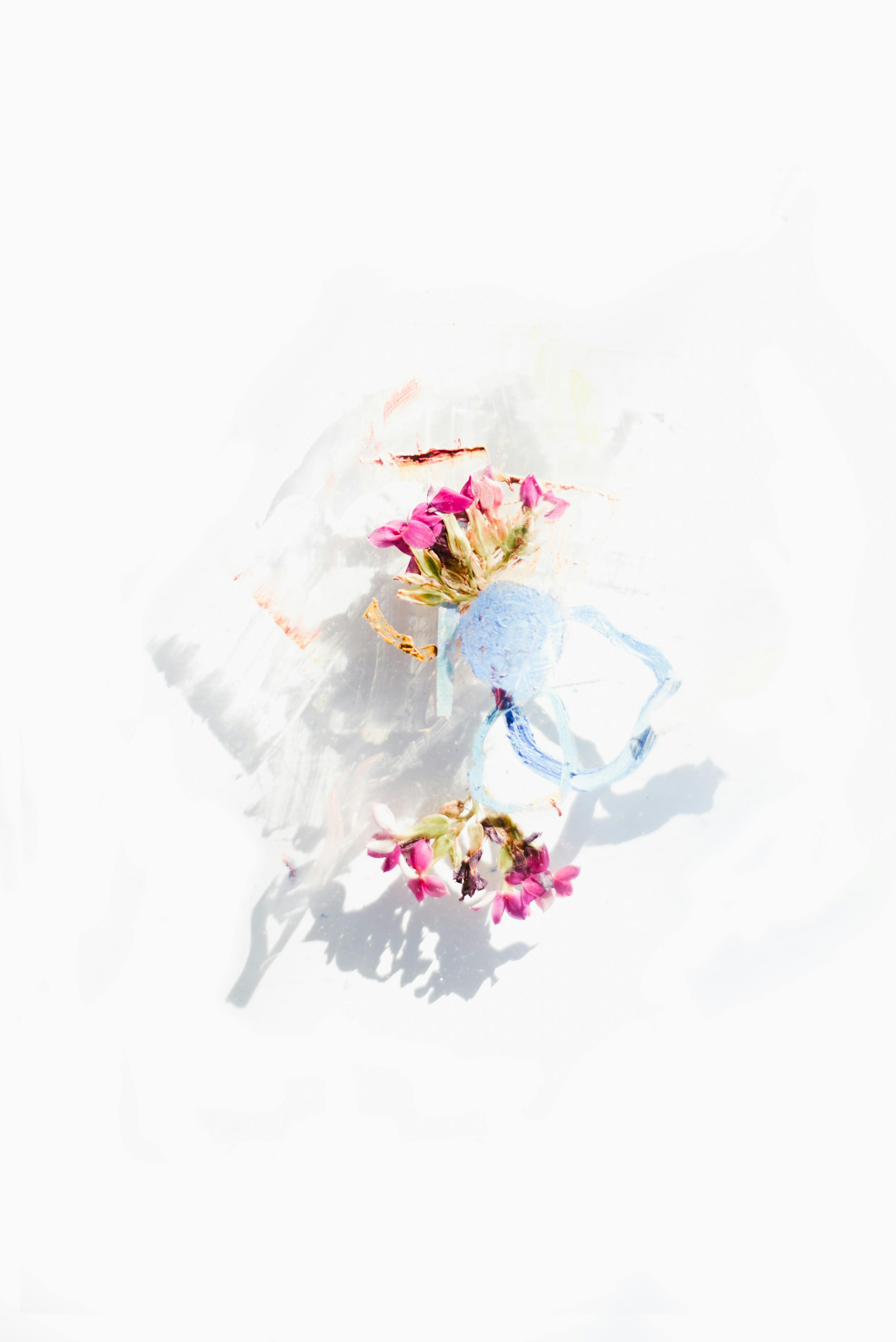 Evie Shaffer - Photography