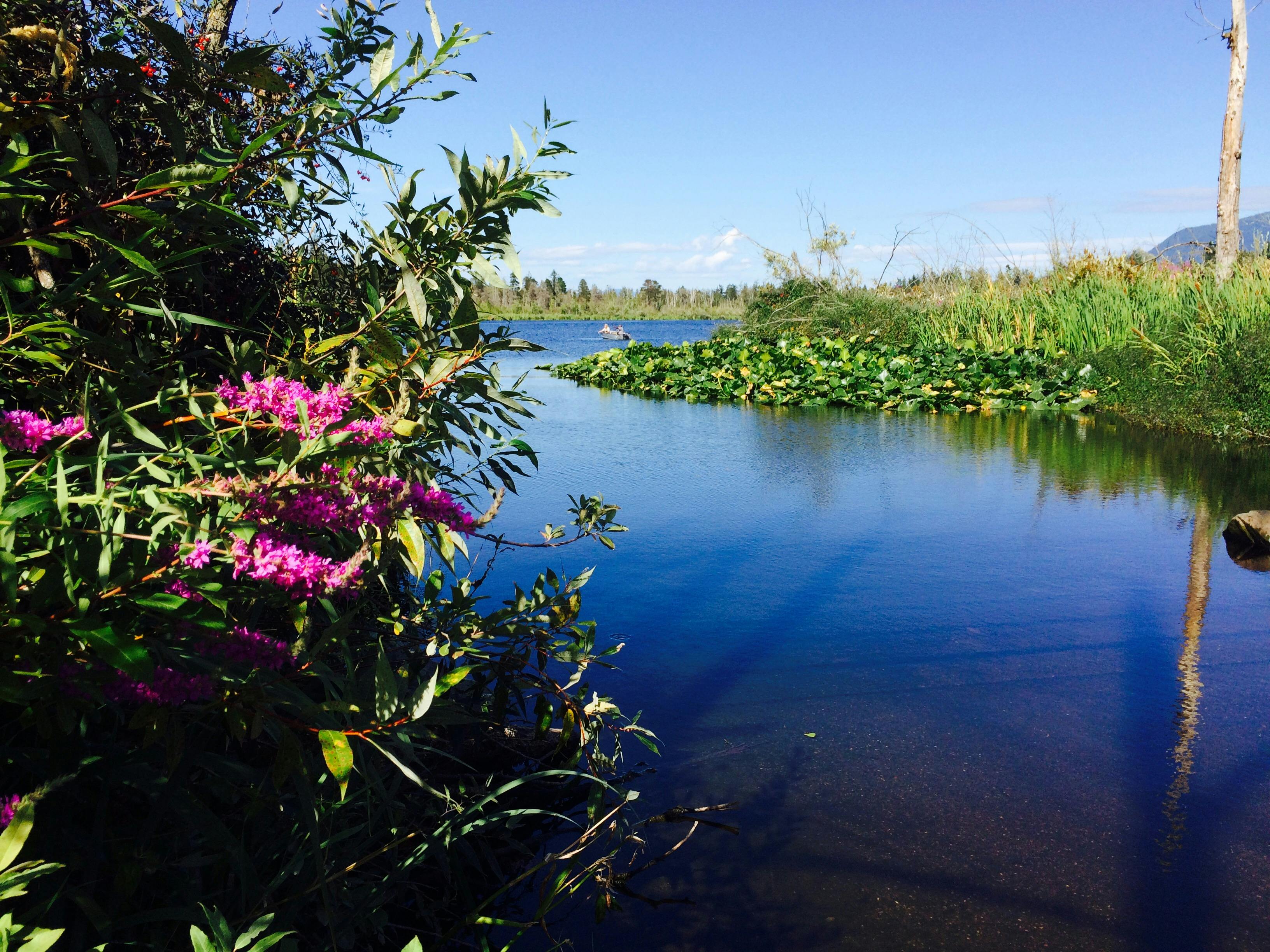 Free stock photo of Fazon lake