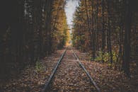 Train Track in the Forrest