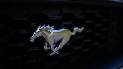 Close-Up Photo of Chrome Horse Emblem