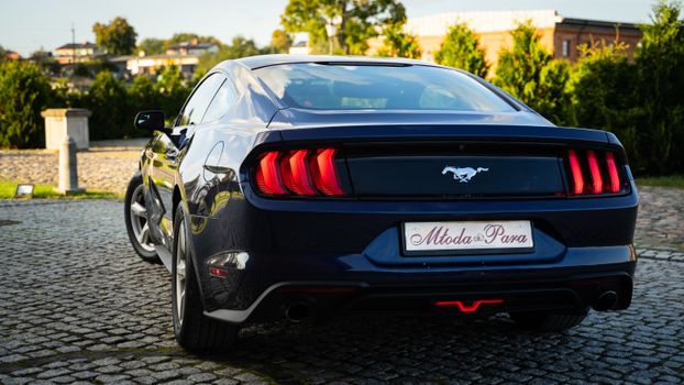 Rear of a Ford Mustang