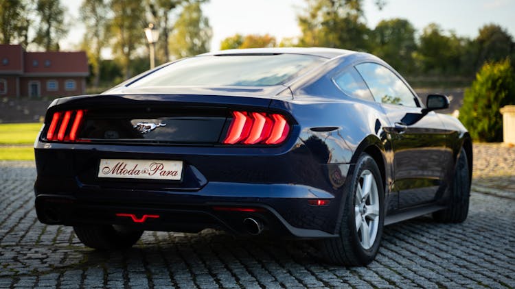 Photo Of A Black Mustang