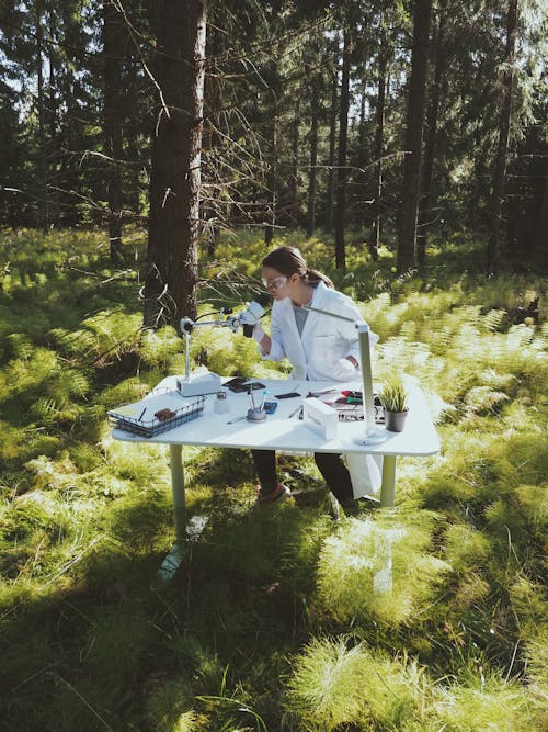 Woman Making Laboratory Tests in Forest