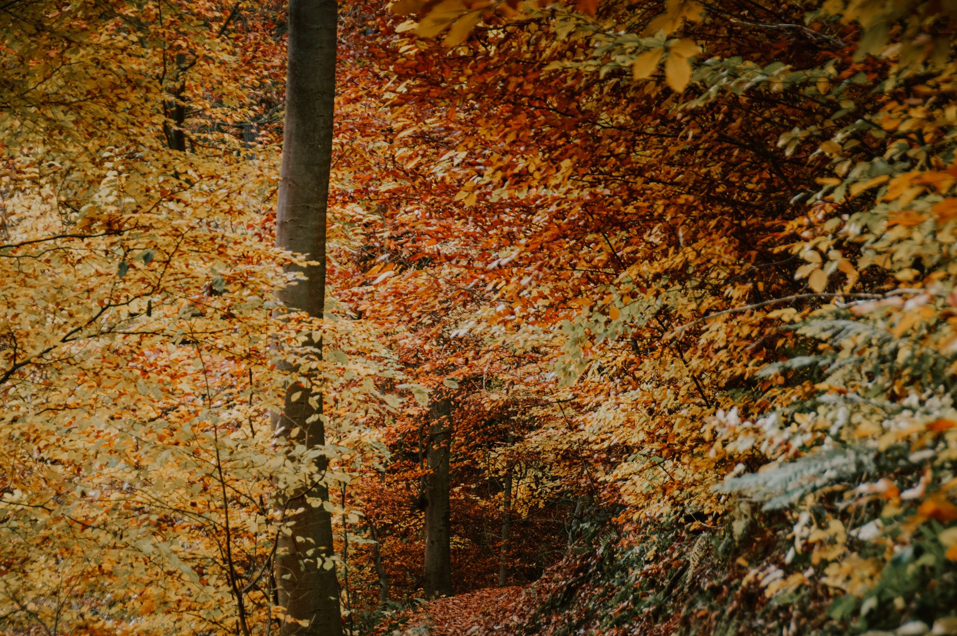 Spaziergang an der frischen Luft