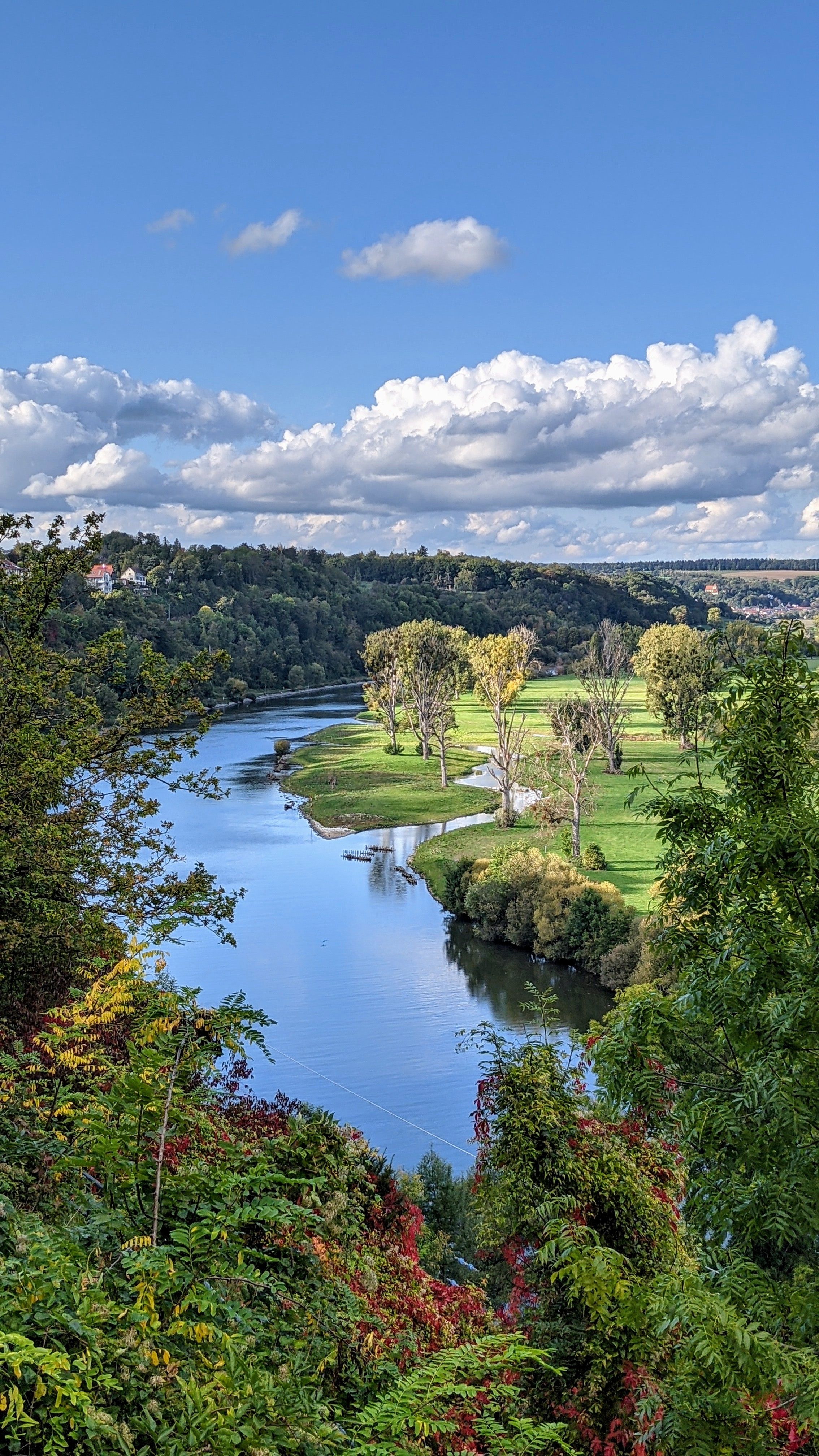 Green Trees Near River Under White Clouds and Blue Sky · Free Stock Photo