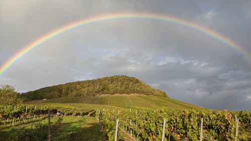 Free Farmland Under A Gray Sky With Rainbow Stock Photo