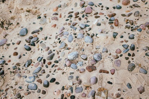 Background of sandy beach with many pebbles of different sizes and colors in daylight