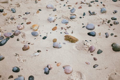 From above of vast sandy coast with many pebbles of different color sand shapes in daylight