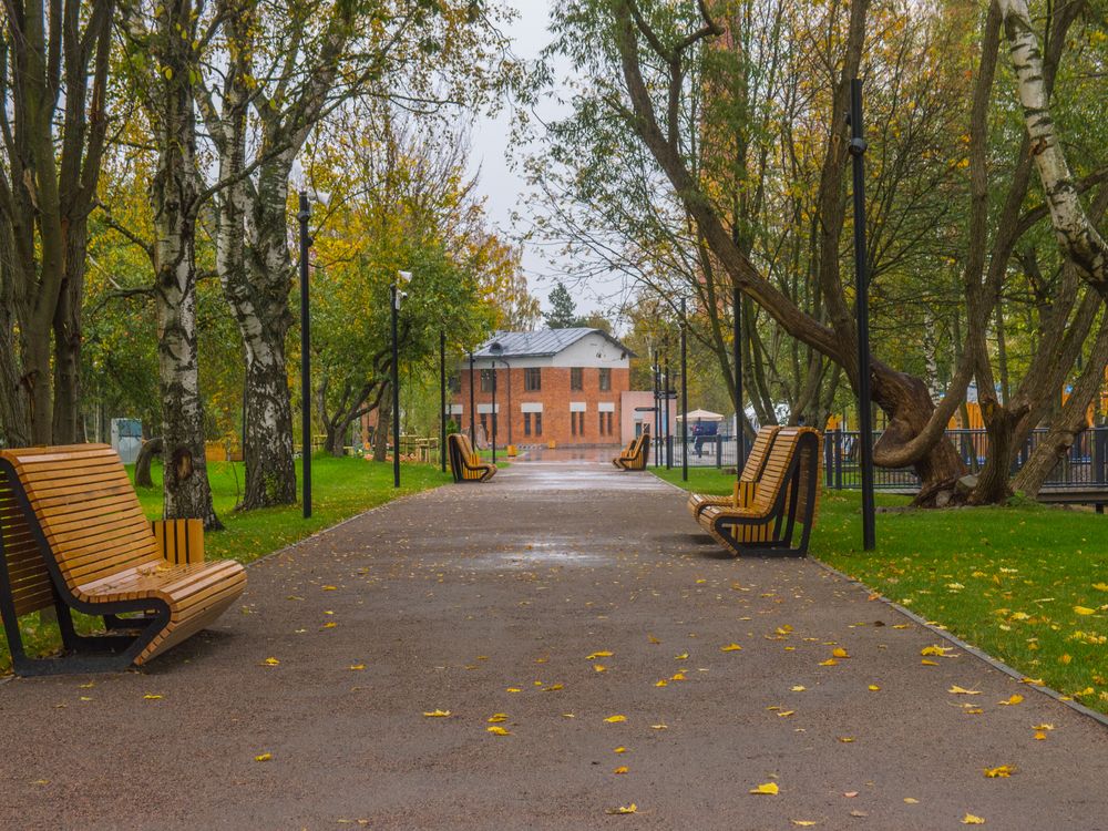 Photo of An Empty Park During Fall ยท Free Stock Photo