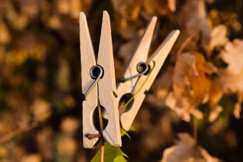 Free Two wooden clothespins on a clothesline amidst autumn foliage in warm daylight. Stock Photo