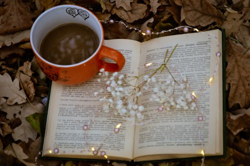 Gratis stockfoto met bloemen, boek, cafeïne Stockfoto