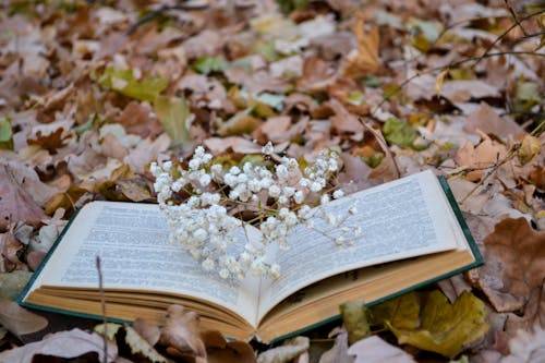 White Flowers on Book Page