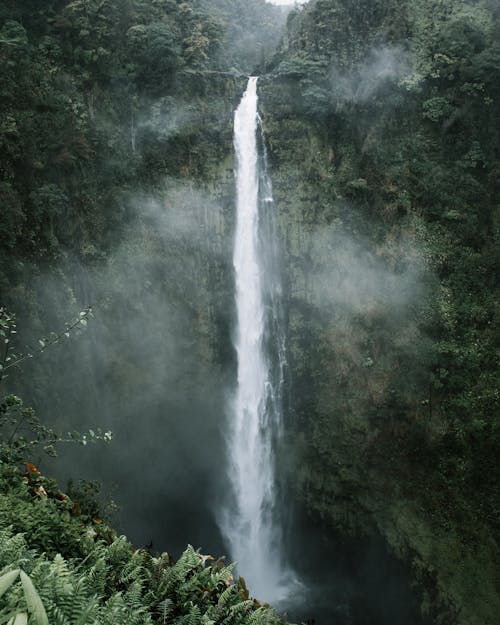 Waterfalls in the Middle of the Forest