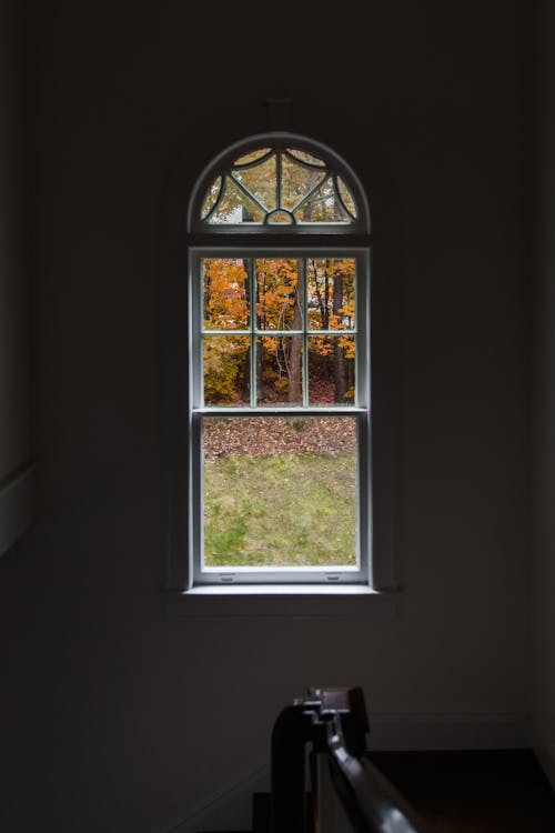 Fenêtre En Verre Encadrée En Bois Blanc