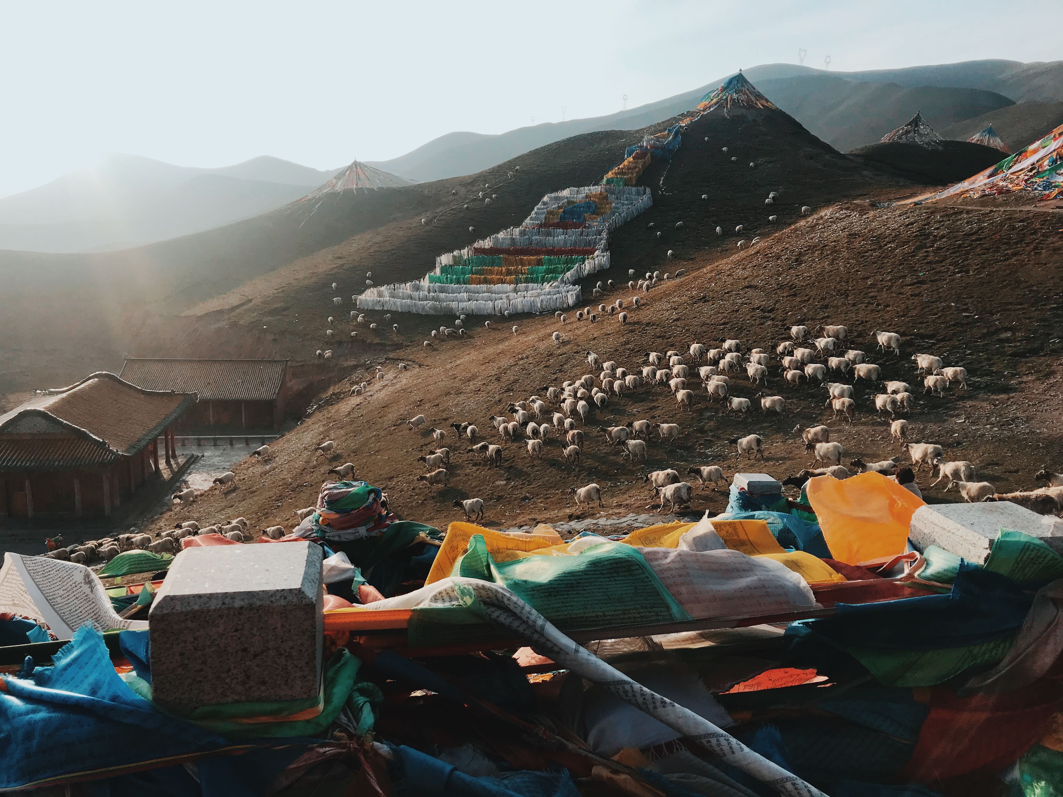 Qinghai — Before You Arrive