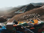 Flock of Sheeps on a Hill