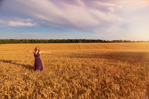 Woman in Purple Dress Standing on Brown Grass Field