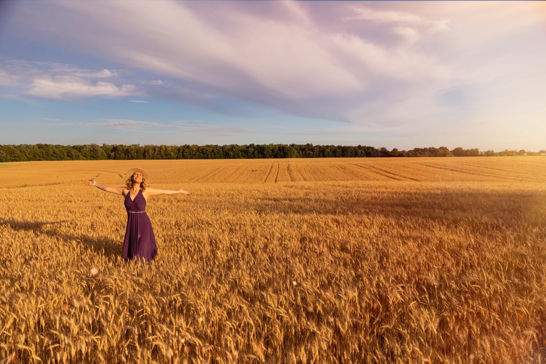 Безкоштовне стокове фото на тему «вільний, жито, жінка»