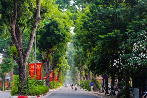 Immagine gratuita di autunno, muathuhanoi, vietnam