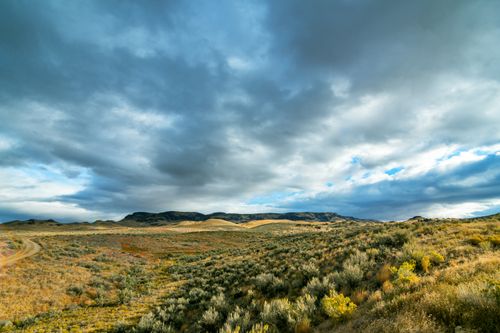 Free Picturesque view of endless valley with growing plants against hills under cloudy sky Stock Photo