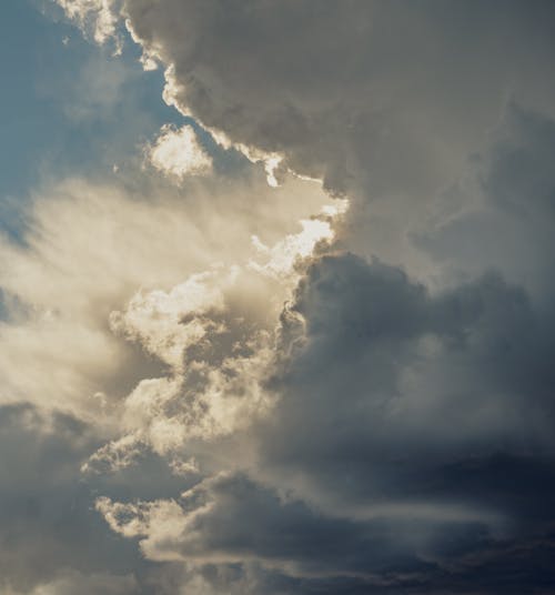 Základová fotografie zdarma na téma oblačno, podsvícení, příroda