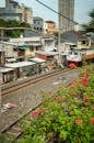 Train on railway tracks riding along aged buildings and blooming bushes with flowers in poor industrial dirty neighborhood of town