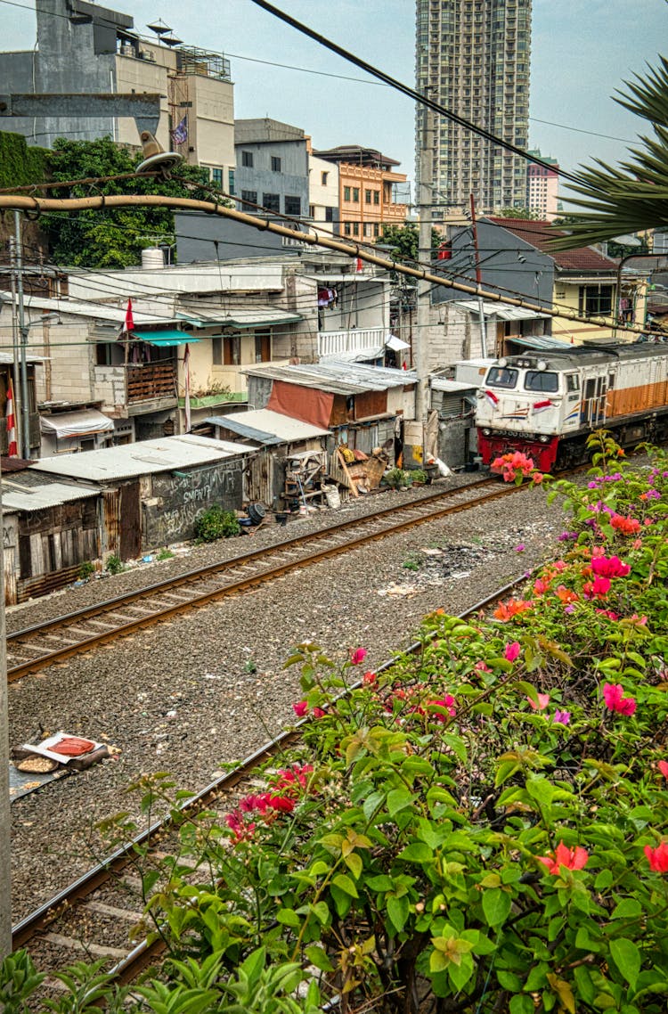 Railroad Tracks Among Shabby Houses