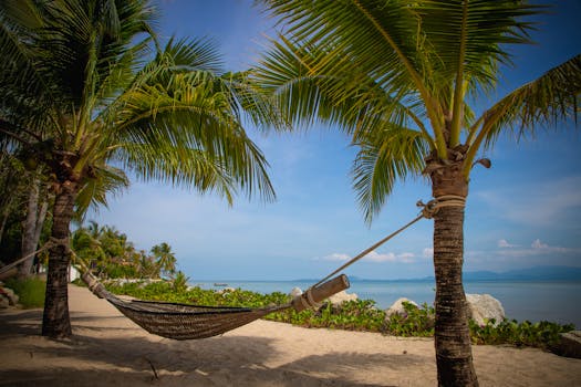 Relaxing hammock between palm trees on a sunny tropical beach.