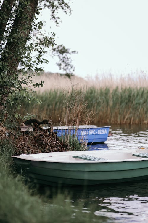 Kostenloses Stock Foto zu bäume, blau, boote