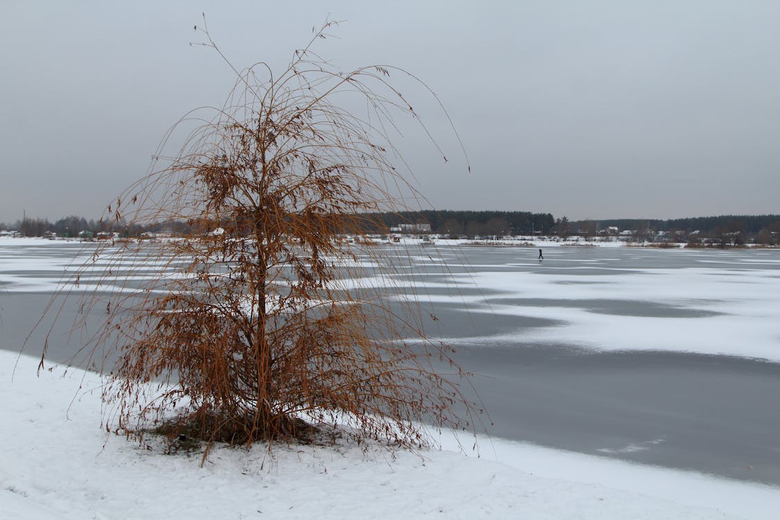 Бесплатное стоковое фото с зима, зимний фон, лед