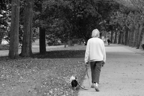 Grayscale Photo of Woman Walking With Dog 