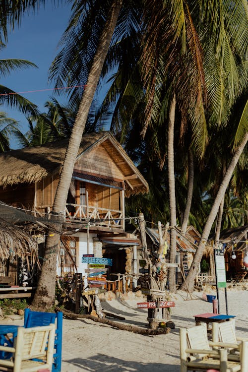 Brown Wooden Houses On Beachside Under Coconut Trees