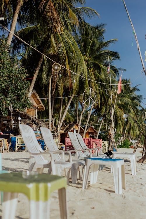 Sunbeds and Palms on a Tropical Beach 