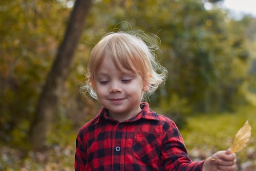 Fotos de stock gratuitas de chaval, chico, hoja de otoño
