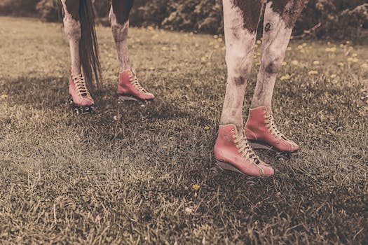 Free stock photo of feet, legs, animal, farm