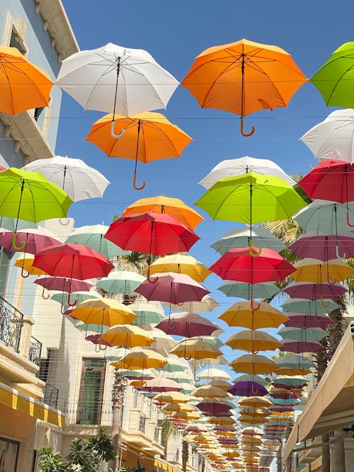 Ilmainen kuvapankkikuva tunnisteilla aurinkovarjo, avoimet sateenvarjot, katu
