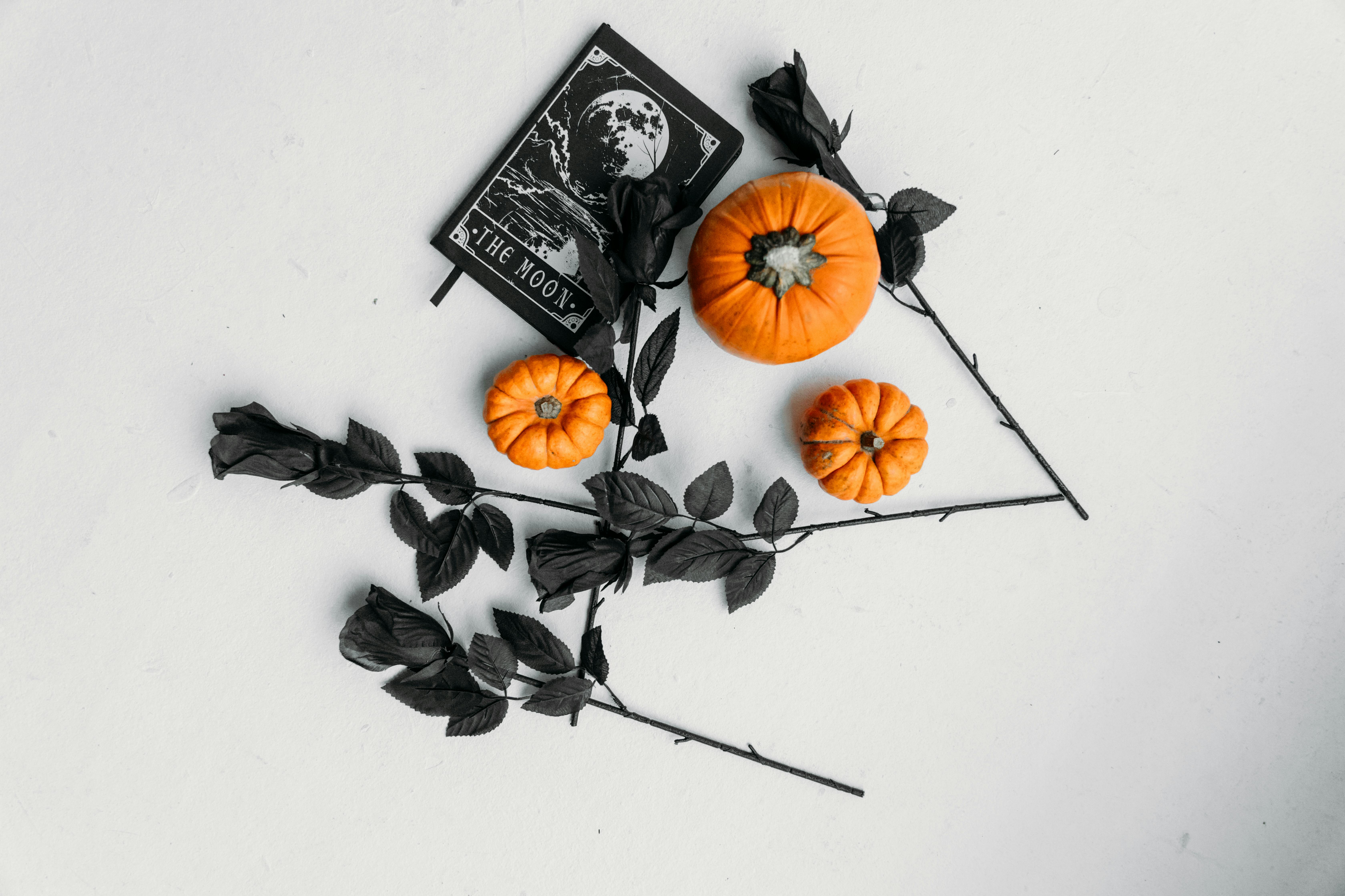 pumpkin and black roses on a white surface