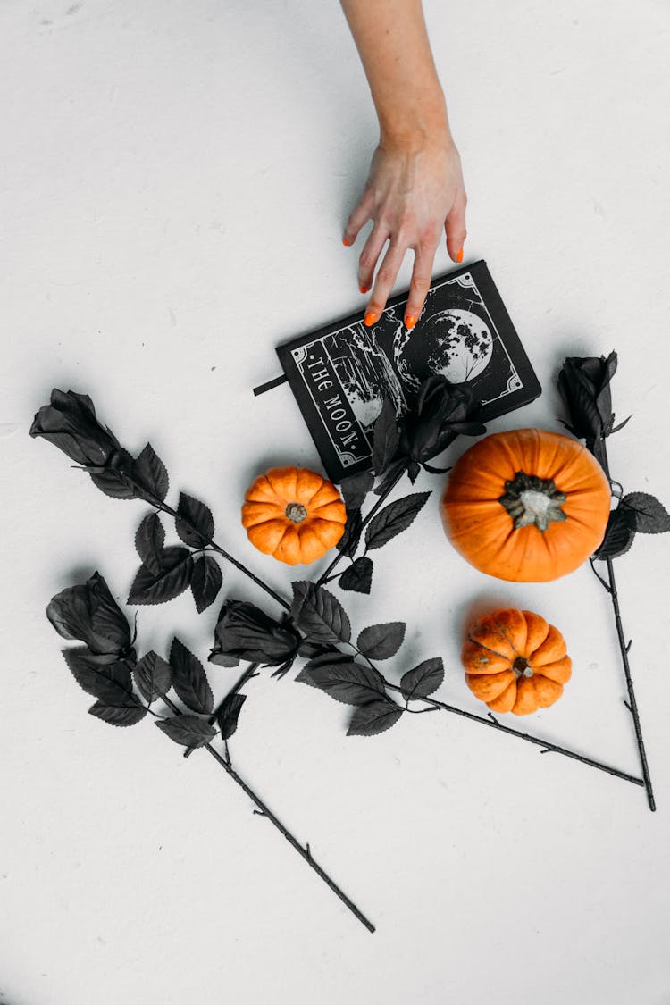 Female Hand Reaching On A Book With Pumpkins And Black Roses On The Floor