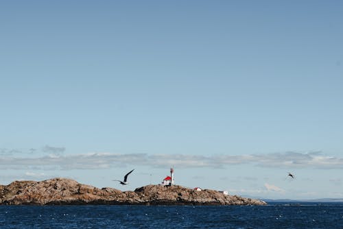Бесплатное стоковое фото с аквамарин, берег, берег моря