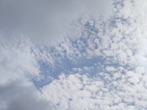 Free stock photo of cloud, puffy clouds