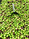 Stainless Steel Scoop on Olives