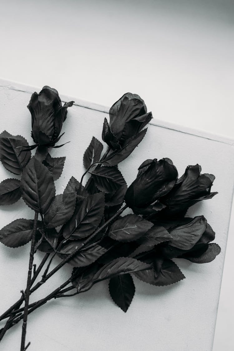 Black Roses On White Table