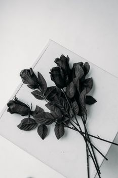 白色表面上简约排列的黑色玫瑰，唤起一种忧郁而艺术的感觉