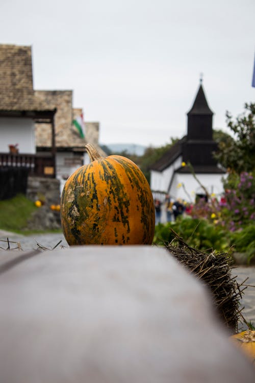 Pumpkin on Fence